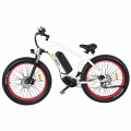 26 Inch Full Suspension Fat Tire MID Drive Electric Bike